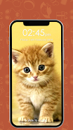 Kitty Cat Pin Lock Screen ภาพหน้าจอ 0