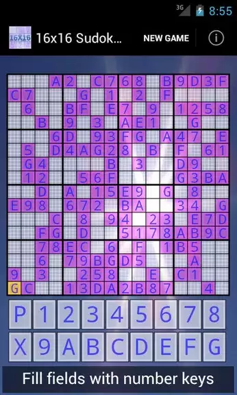 Schermata 16x16 Sudoku Challenge HD 0