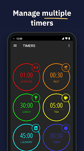 MultiTimer: Multiple timers Ảnh chụp màn hình 0