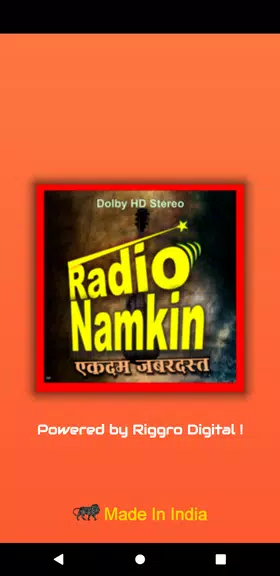 Radio Namkeen- FM Radio Online應用截圖第0張