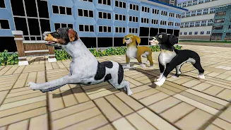 Hilf den Hunden Spiel Screenshot 2