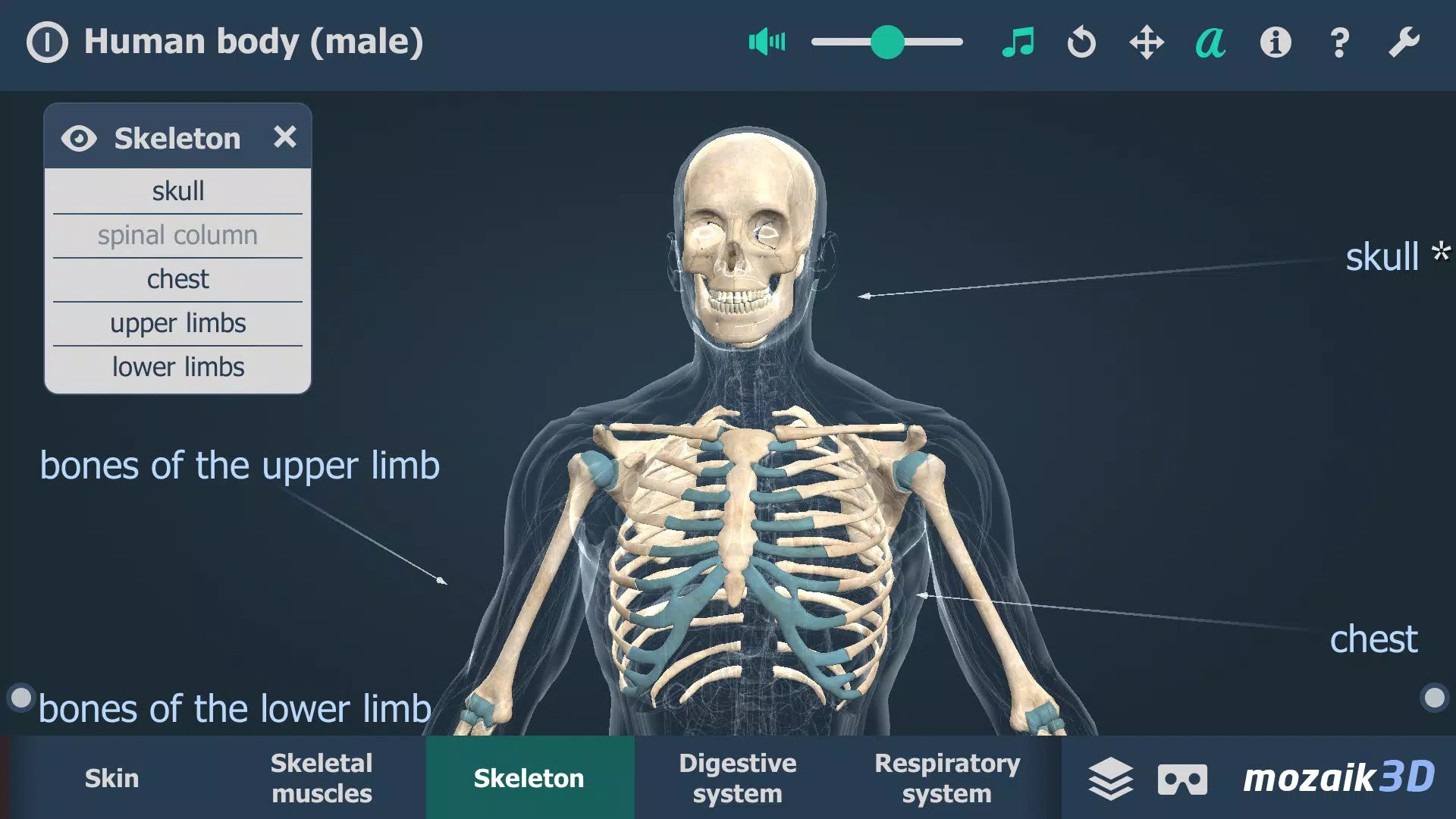 Human body (male) 3D scene ภาพหน้าจอ 2