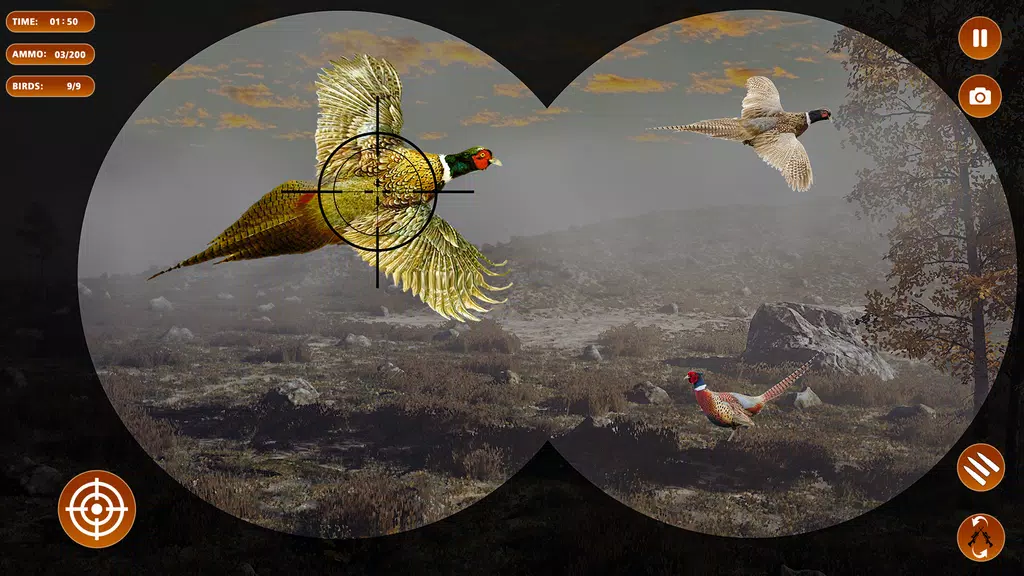 Pheasant Shooter Birds Hunting应用截图第0张