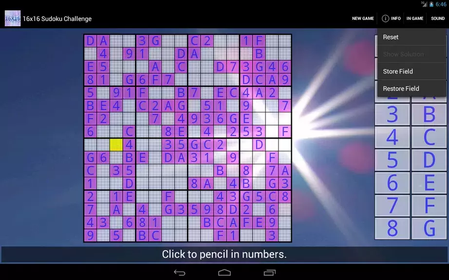 16x16 Sudoku Challenge HD Screenshot 3