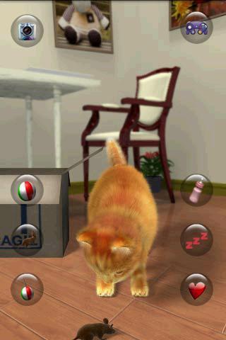 Talking Lovely Cat Screenshot 2