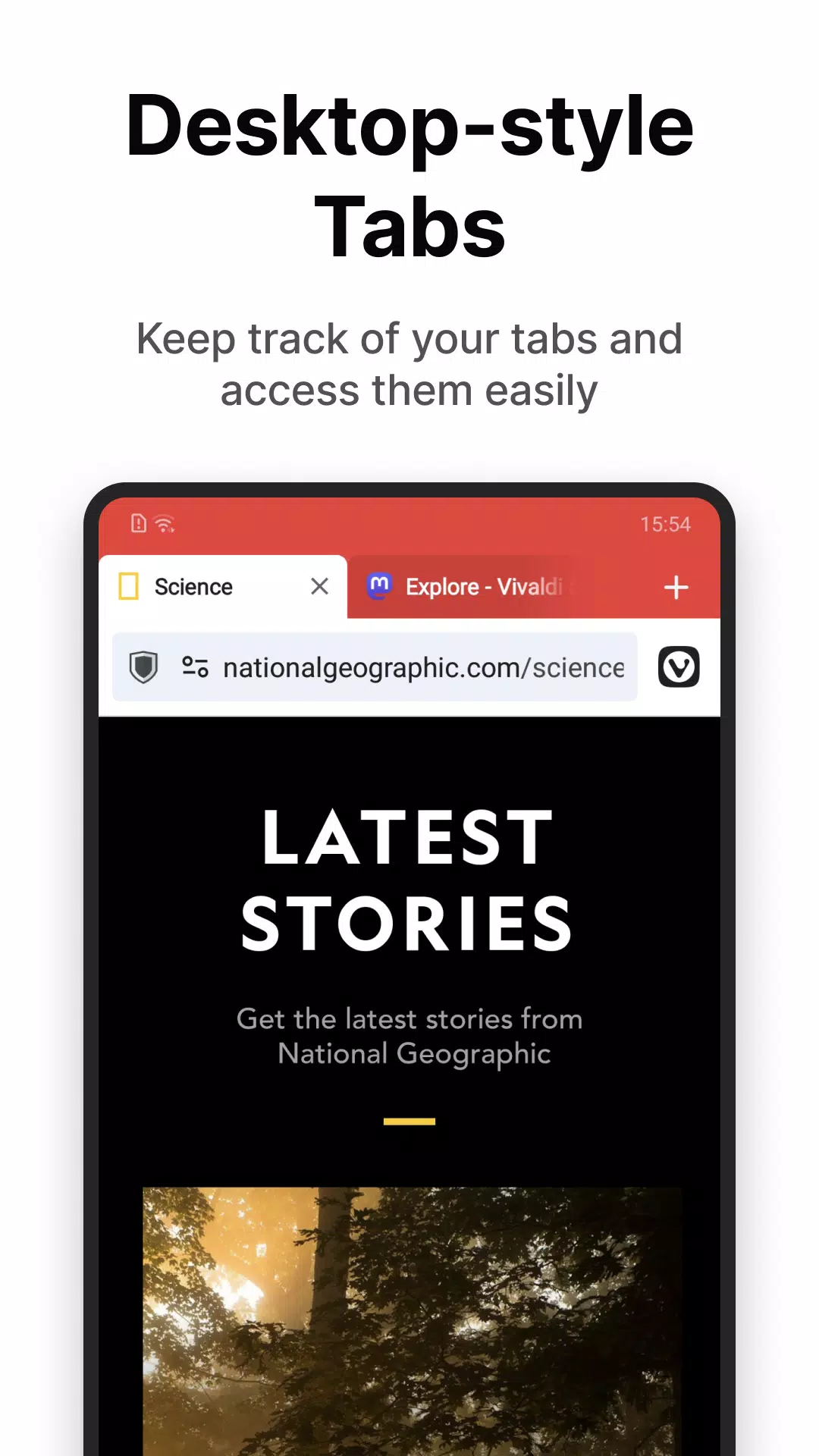 Vivaldi Screenshot 1
