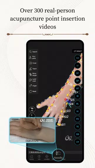 Acupuncture Master Capture d'écran 3