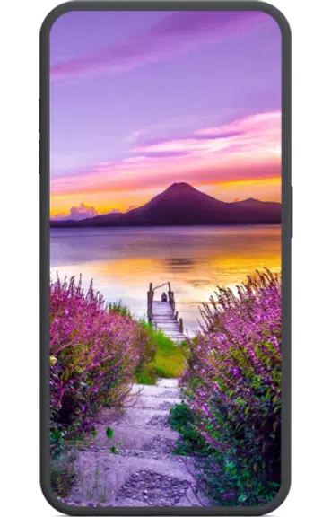 cool nature wallpaper HD应用截图第1张