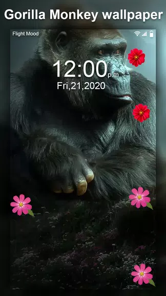 Gorilla Monkey Live Wallpaper ဖန်သားပြင်ဓာတ်ပုံ 2