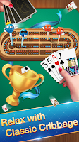 Cribbage - Card Game スクリーンショット 1