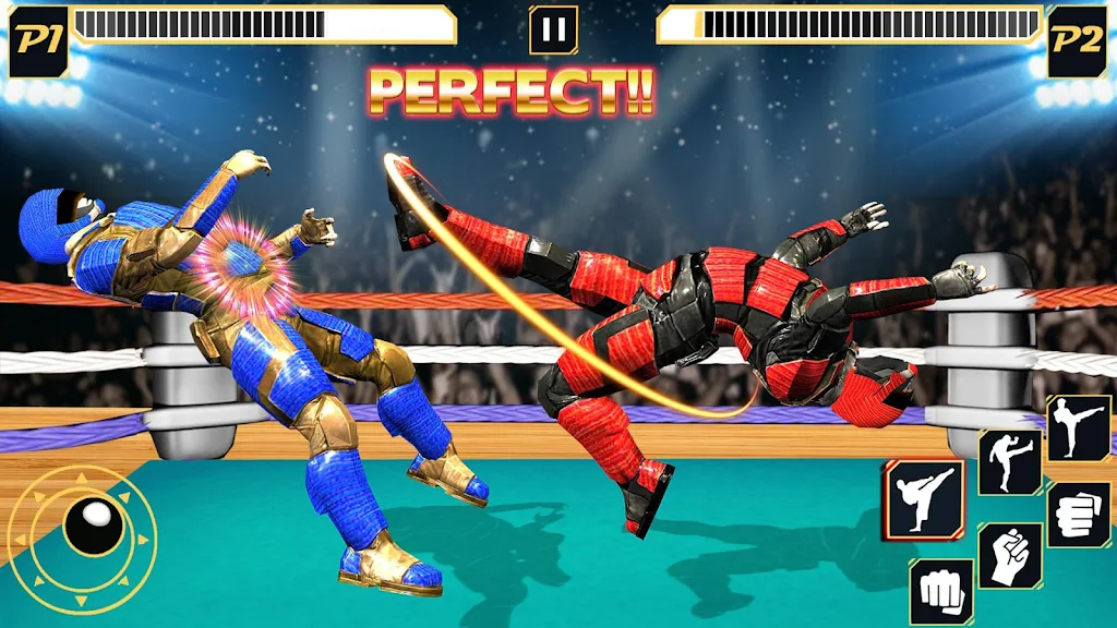 Real Robot Wrestling - Robot F Captura de tela 1