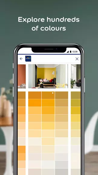 Dulux Visualizer ZA Ảnh chụp màn hình 1