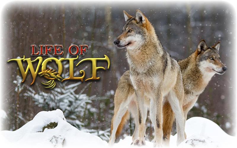 Wolf Life Simulator Capture d'écran 0