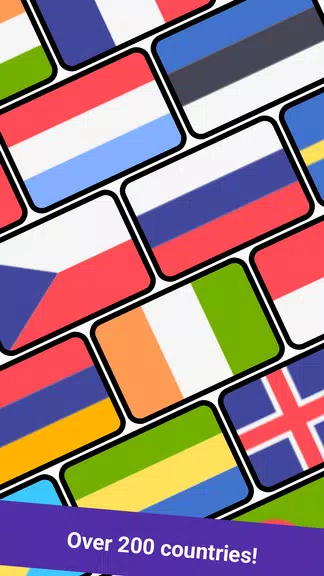 Geomi — Flags & Countries 스크린샷 1