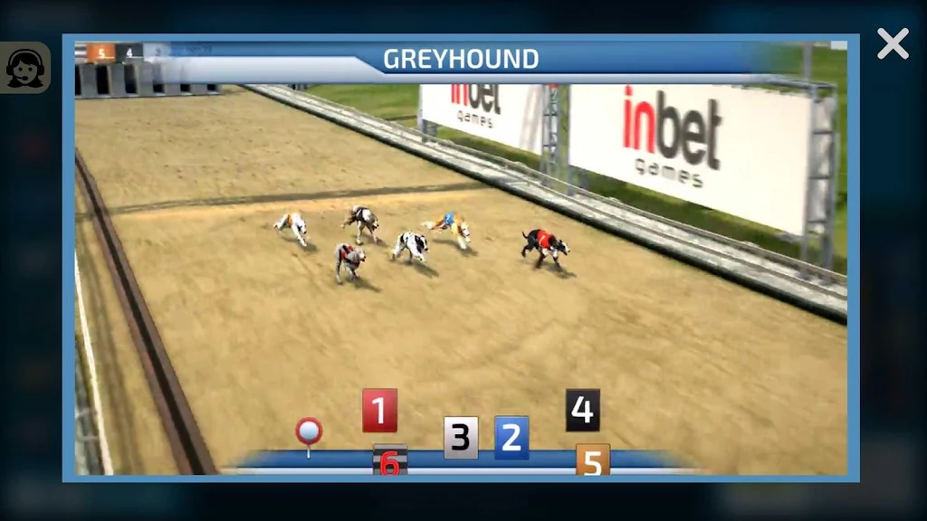 Dogs3D Races Betting ภาพหน้าจอ 2