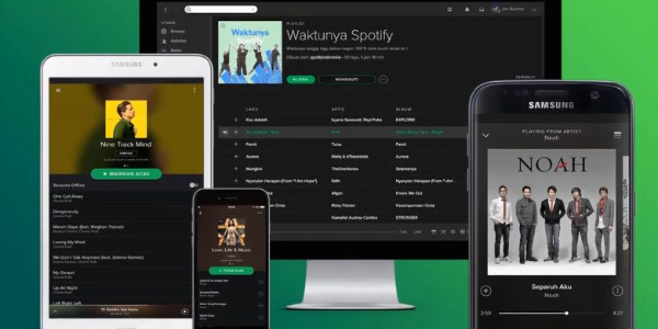 Spotify Vanced Tangkapan skrin 2