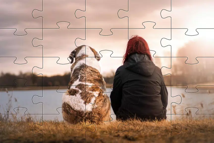 Jigsaw puzzle without internet Ekran Görüntüsü 3