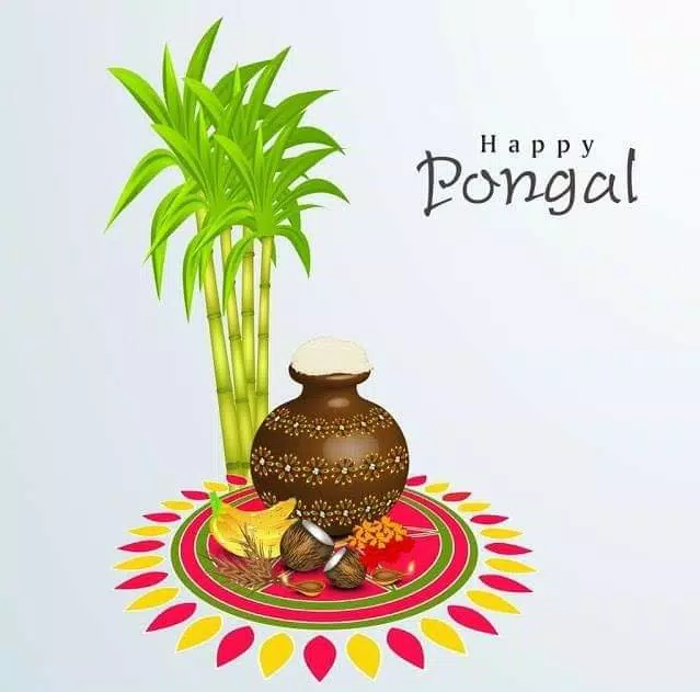 Happy Pongal Wishes Schermafbeelding 1