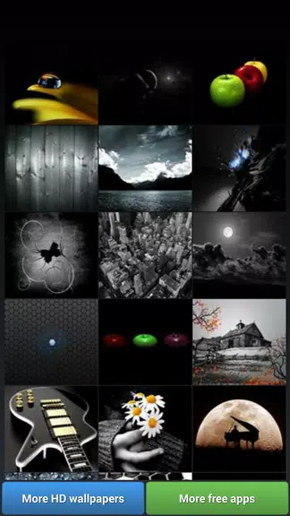 Black Theme HD Wallpapers Tangkapan skrin 1