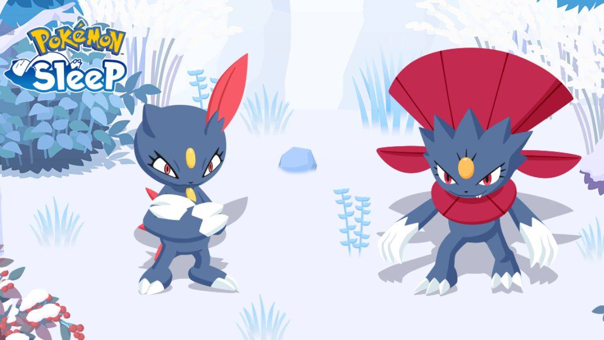 Pokémon Sleep: เปิดตัว Sneasel และ Weavile