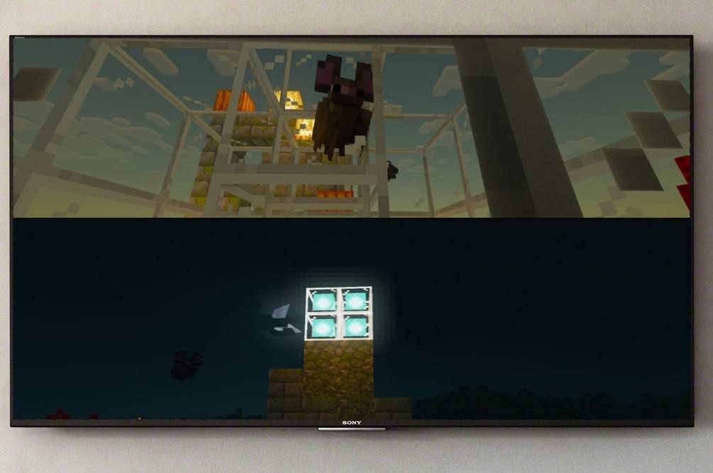 Split Screen on Minecraft