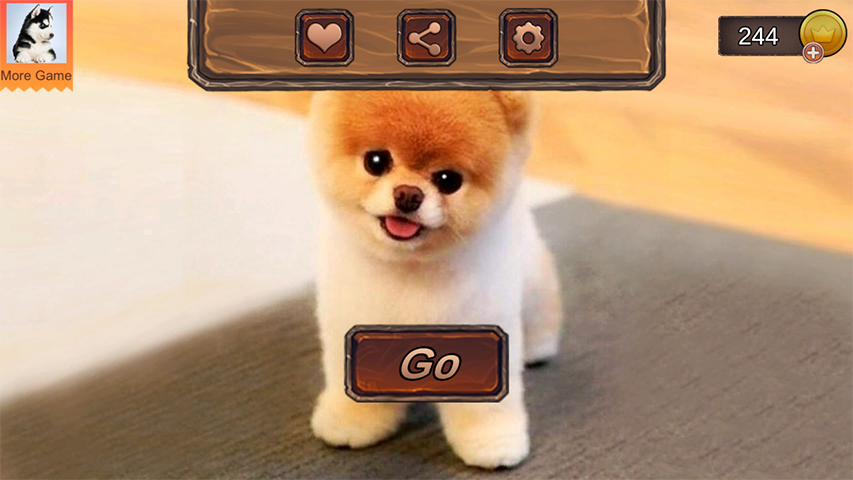 Pomeranian Dog Simulator Captura de tela 0