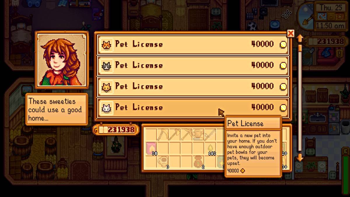 Marnie Ranch Shop Pet License Inventory in Stardew Valley