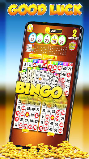 Lucky Bingo: Fun Casino Games Zrzut ekranu 1