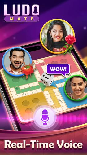 Ludo Mate স্ক্রিনশট 0
