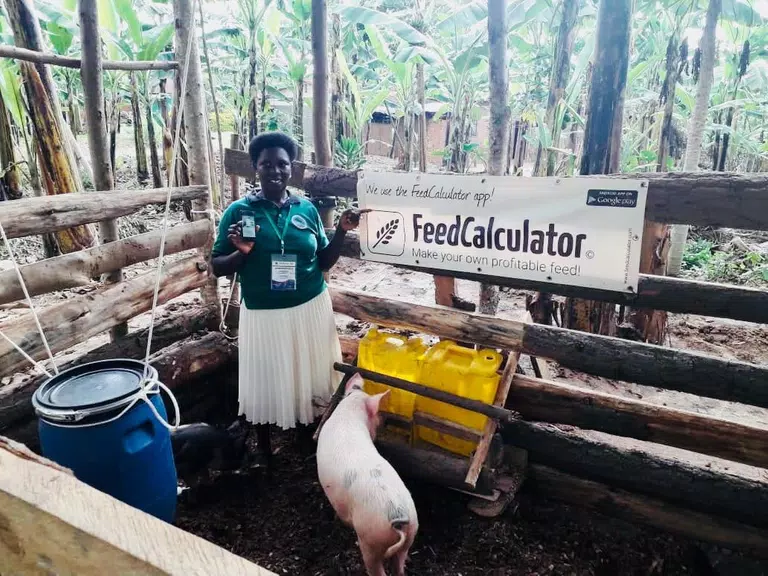Feed Calculator for livestock Captura de tela 1