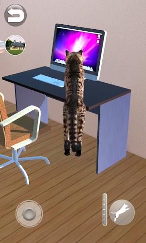 Talking Reality Cat Captura de tela 3