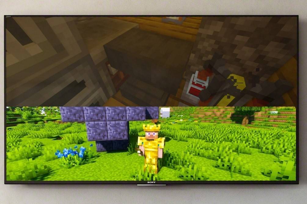 Split Screen on Minecraft