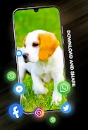 Puppies Wallpapers in 4K स्क्रीनशॉट 2