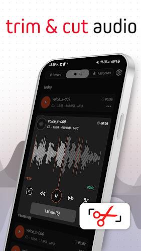 Voice Recorder Pro - VoiceX ဖန်သားပြင်ဓာတ်ပုံ 1