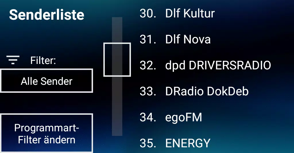 DAB+ Radio USB Ekran Görüntüsü 3