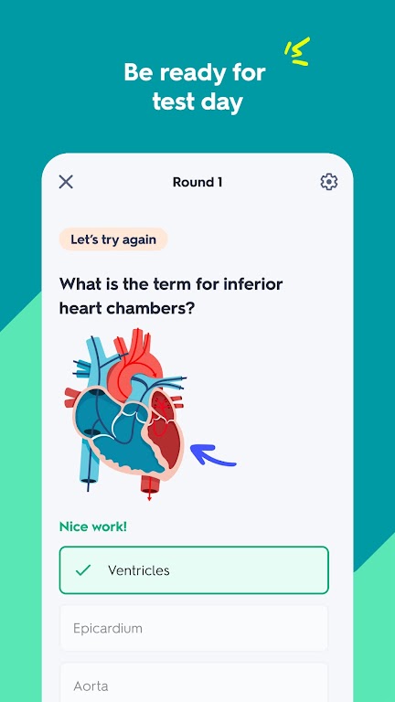 Quizlet: AI-powered Flashcards Mod Screenshot 2