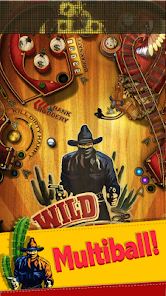 Schermata Wild West Pinball 0