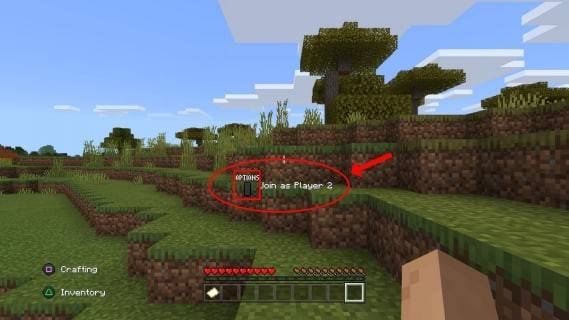 Split Screen on Minecraft