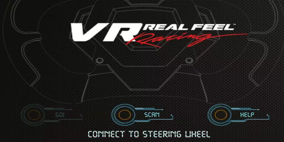 VR Real Feel Racing Screenshot 0