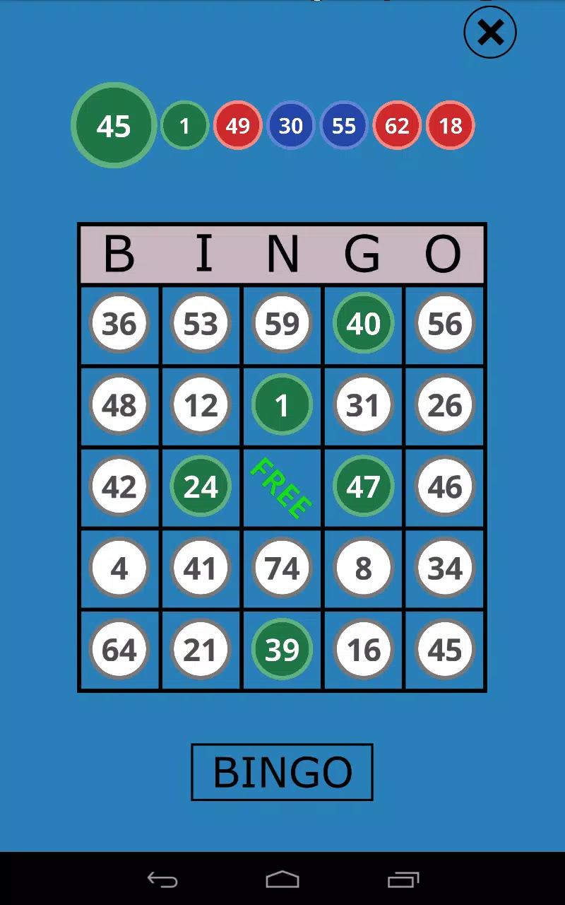 Classic Bingo Touch Schermafbeelding 3