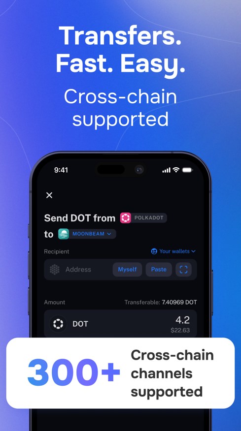 Nova Polkadot Wallet Ảnh chụp màn hình 3