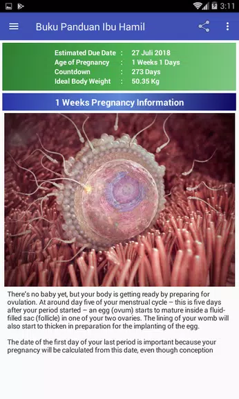 Pregnancy Guide应用截图第0张