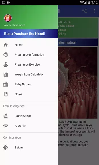 Pregnancy Guide应用截图第1张