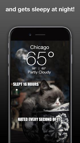 Grumpy Cat Weather Captura de pantalla 2