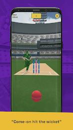 Run Out Champ: Hit Wicket Game Captura de tela 1