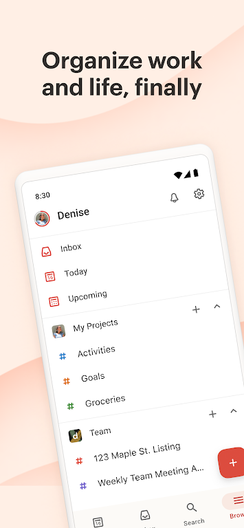 Todoist Zrzut ekranu 0