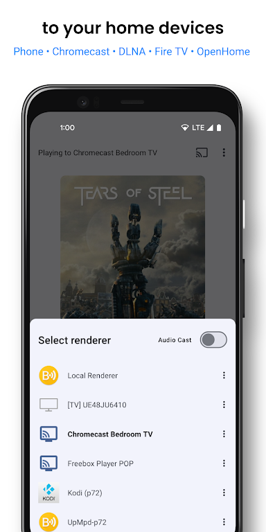 BubbleUPnP for DLNA/Chromecast Скриншот 1