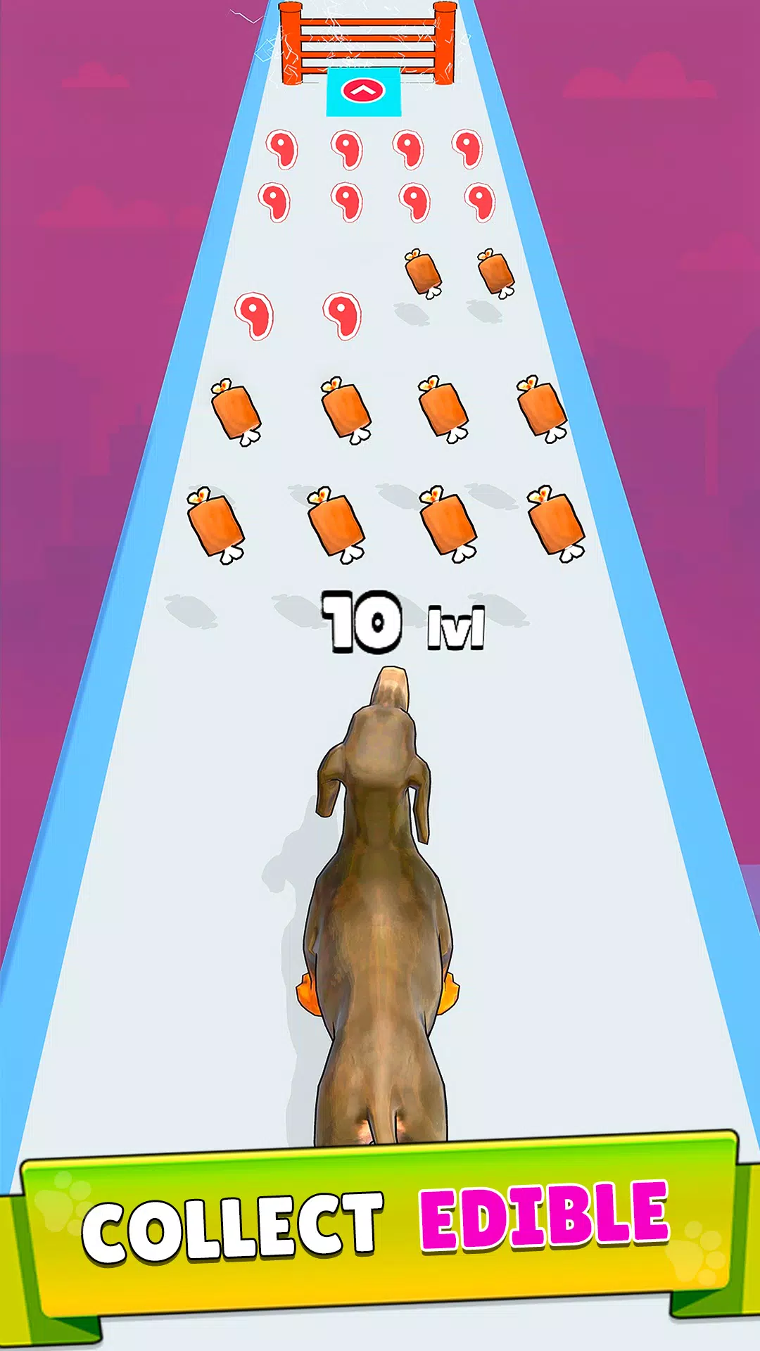 Dog Evolution Run Ekran Görüntüsü 2