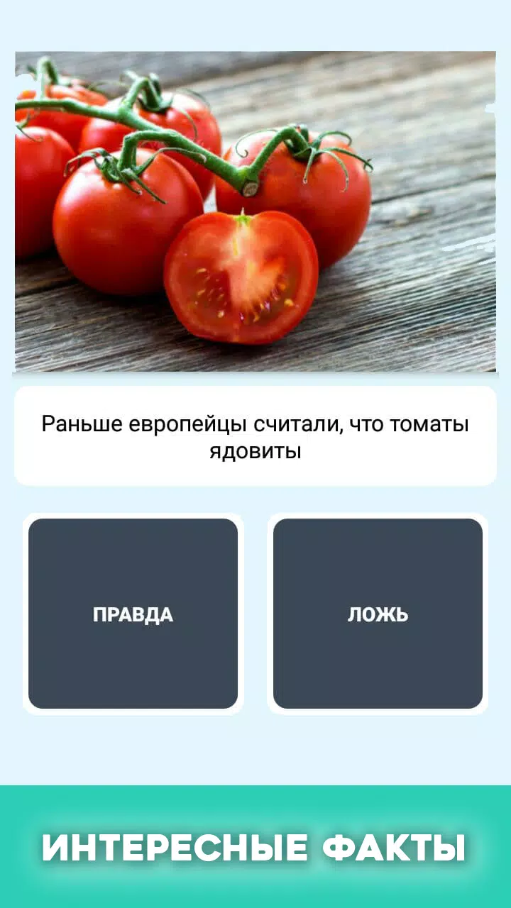 Правда или ложь - вопрос ответ Screenshot 3