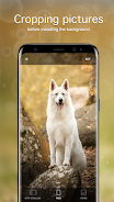 Dog Wallpapers & Puppy 4K Tangkapan skrin 3